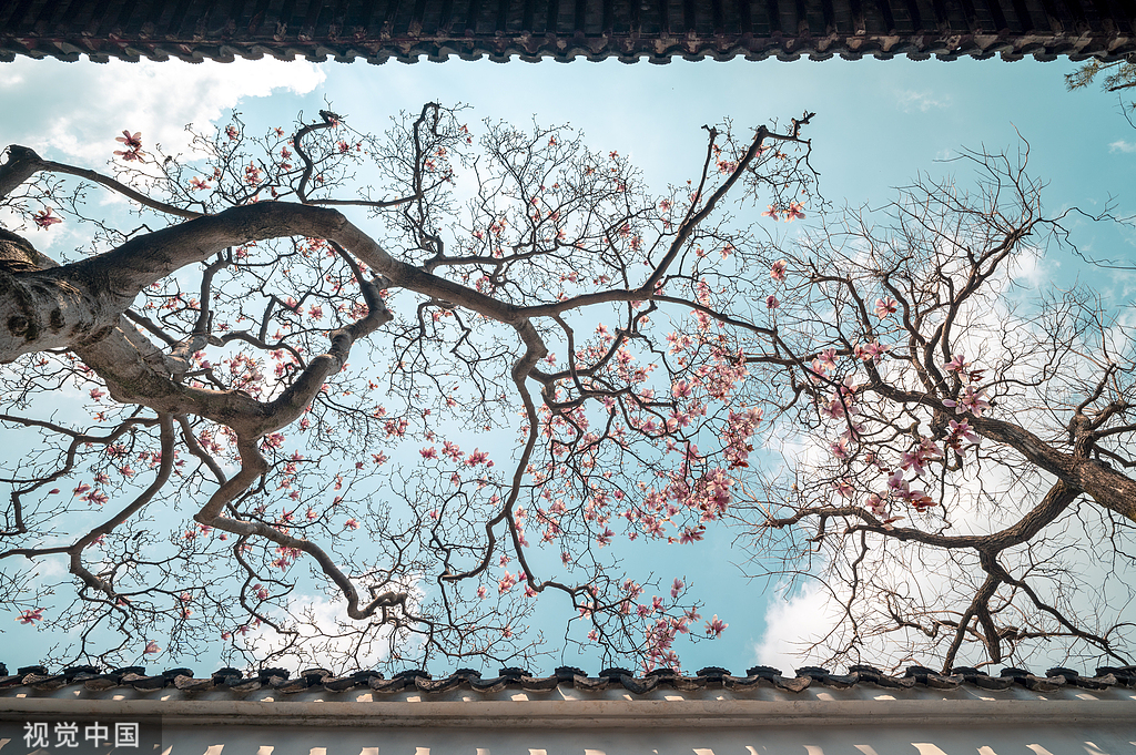 苏州与校区滚动照片 5