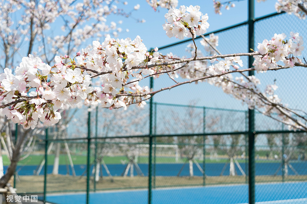 苏州与校区滚动照片 6